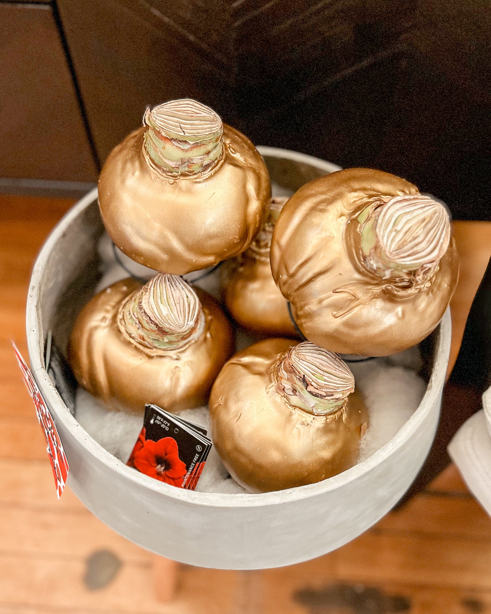 Amaryllis Gold Wax - Red Lion Flower