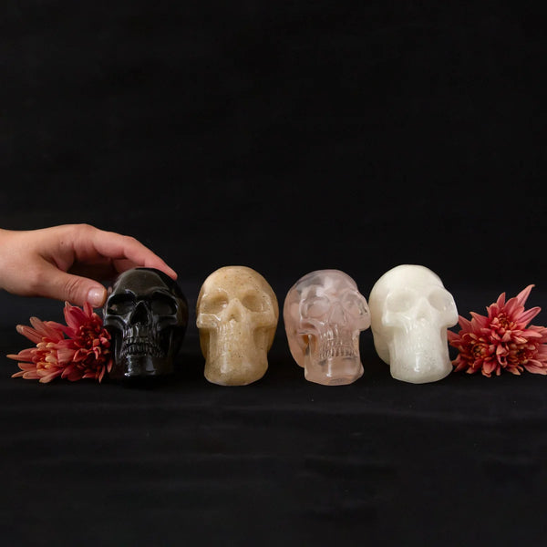 Multi Color Resin Skulls