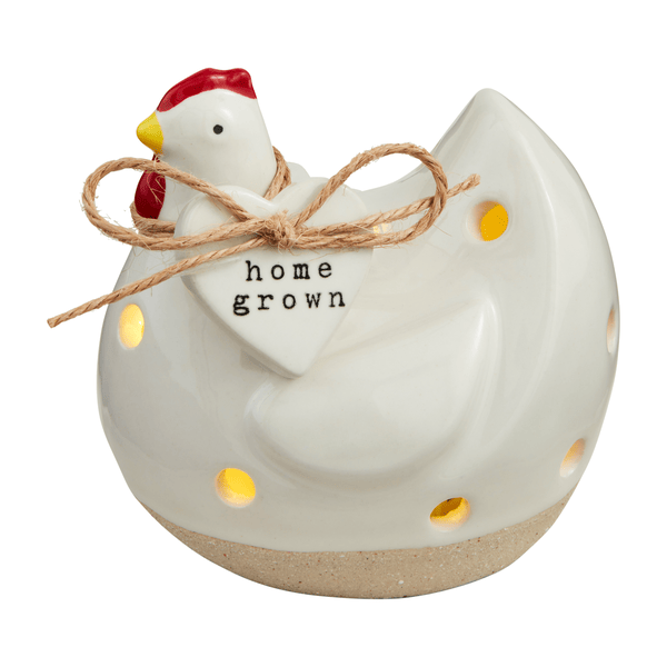 Singing Chicken Light Up Sitter