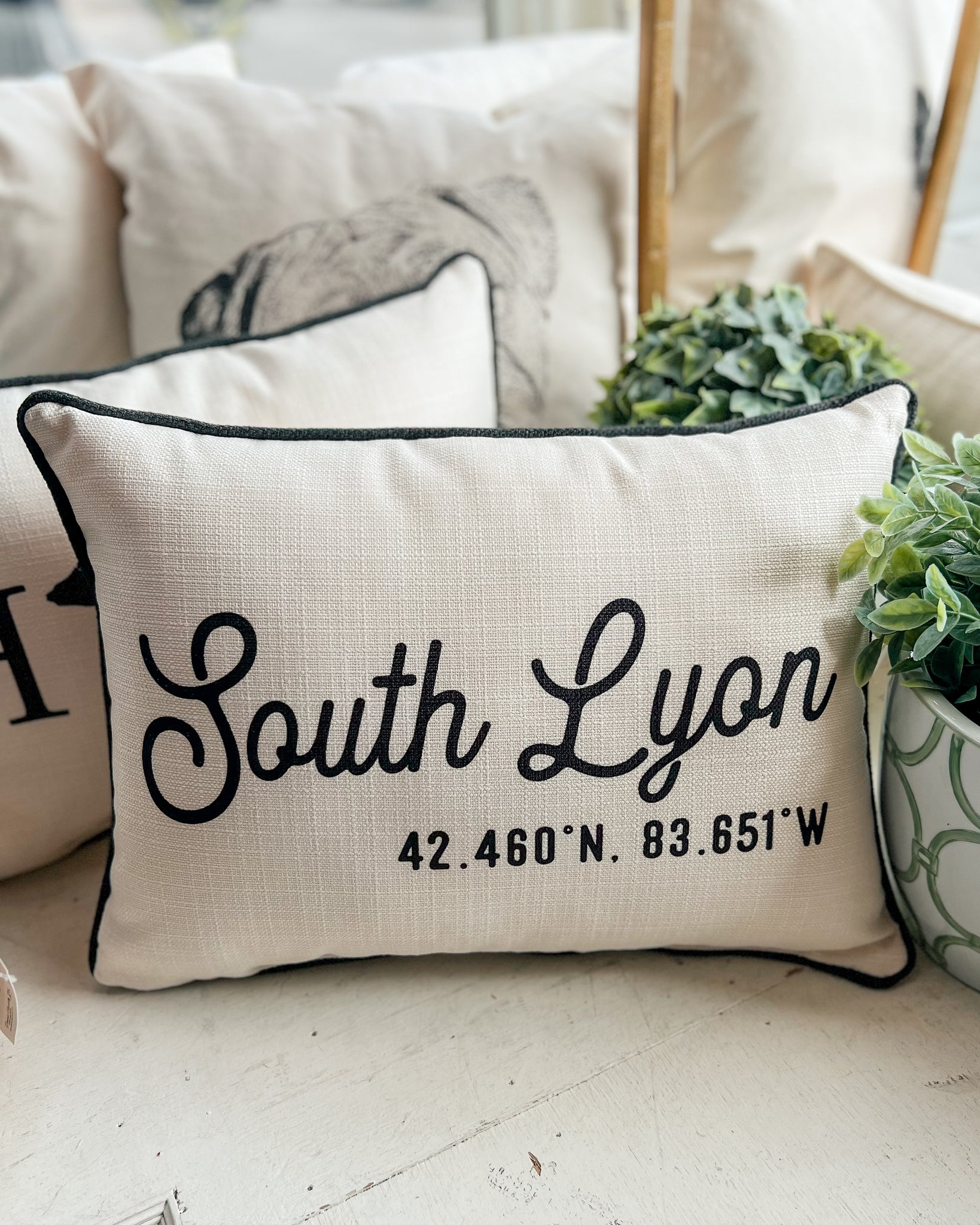South Lyon Coordinates Pillow Corded