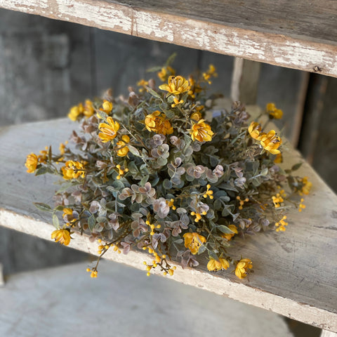 Chalice Blooms