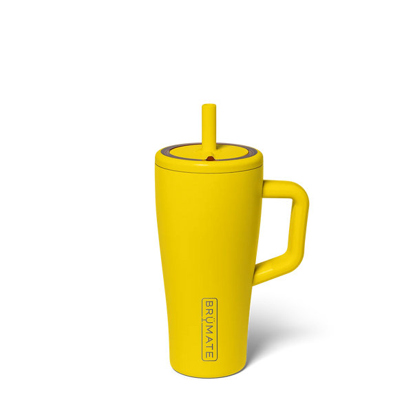 Era 20oz - Pineapple