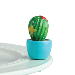 Cactus Mini - Can’t Touch This