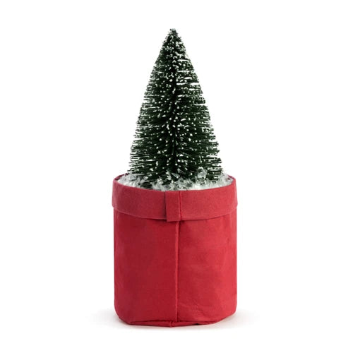 Plant Kindness - “Tis The Season”