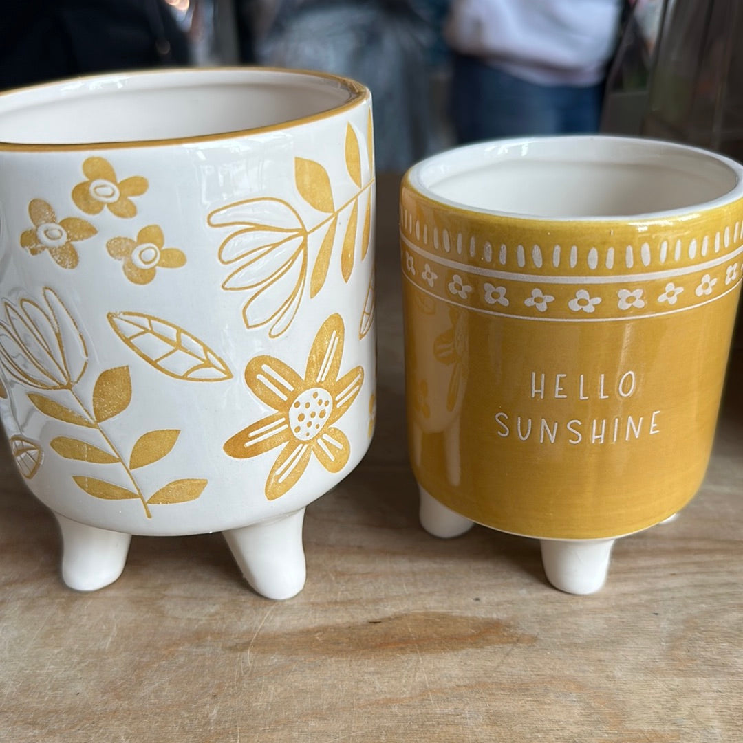 Hello Sunshine Planters