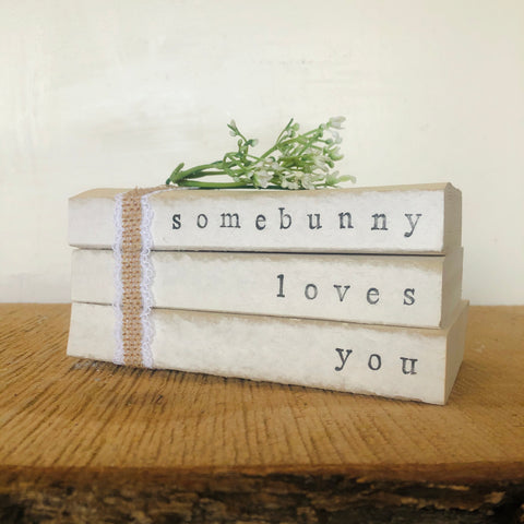 Somebunny Loves You Book Set