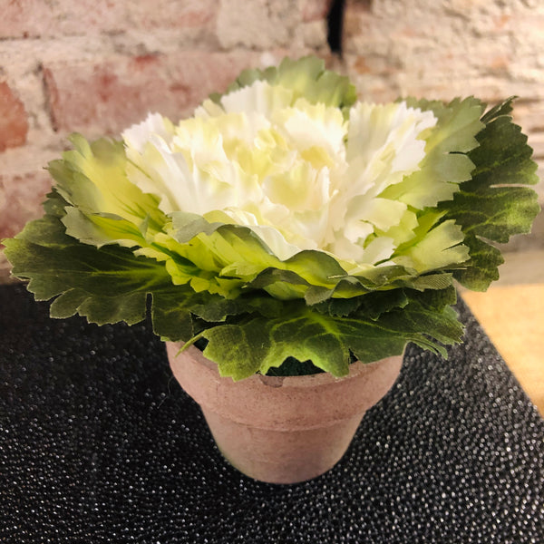 Cabbage Floral