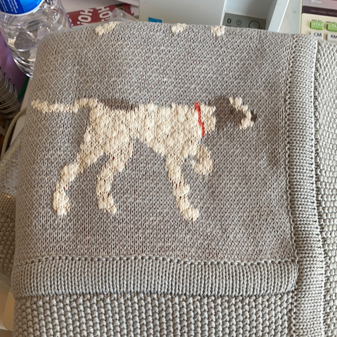 Dog Blanket 40 L x 32 W