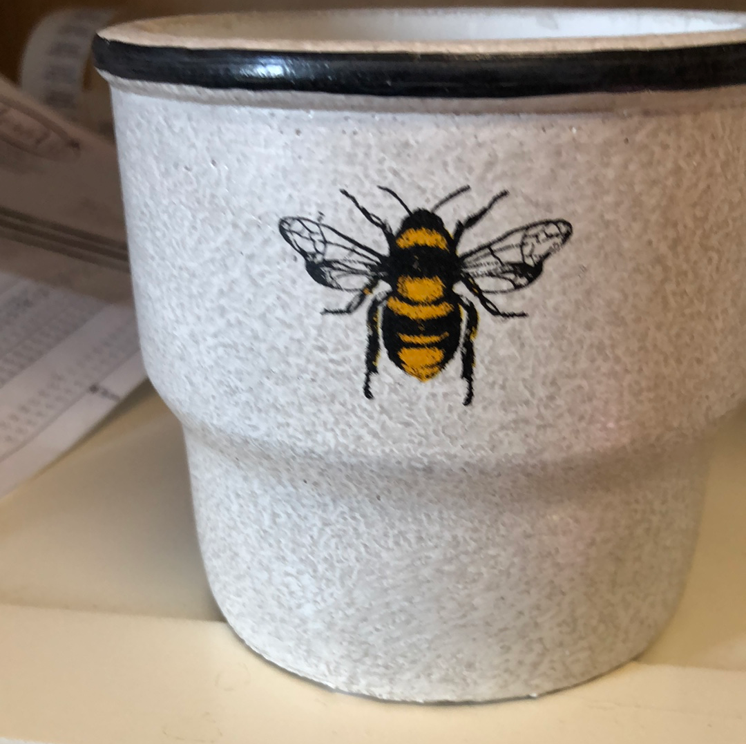 Bumblebee or 4x4.75” pot