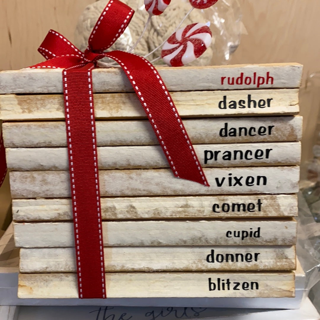 Rudolph Reindeer Book Set