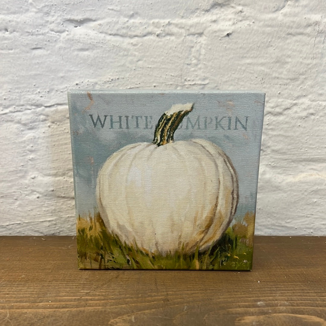 White pumpkin Blue Background 5x5