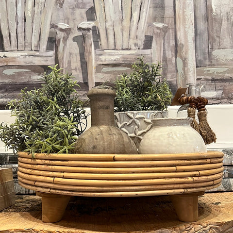 Rosemary Bush  13”