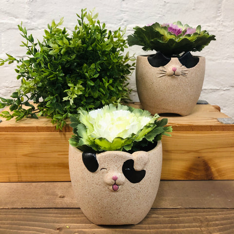 Pet Planter