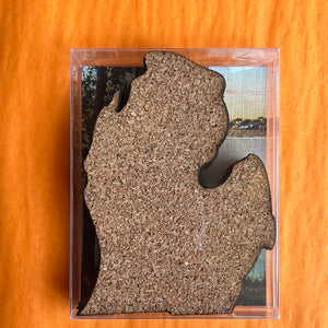 Michigan Shaped Coaster