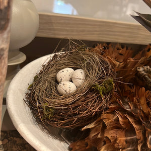 Nest with eggs 4”