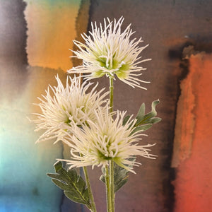 White Spikey Cactus Dahlia Stem 26”